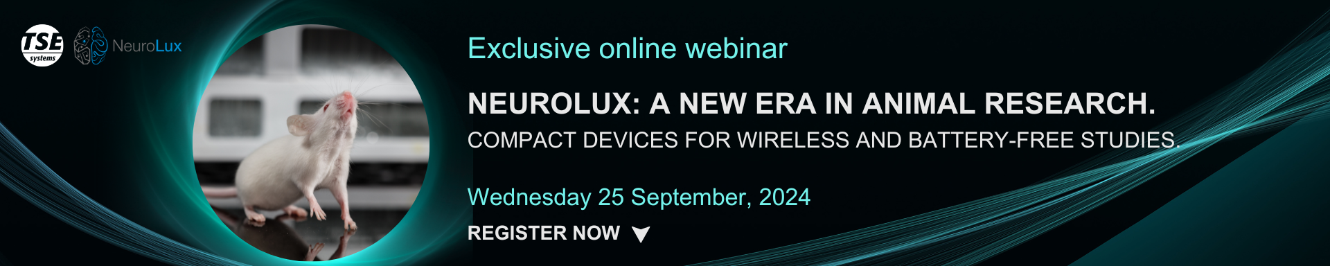 NeuroluxWebinar-2